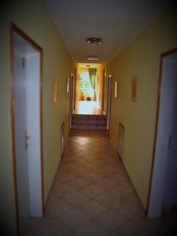 B&B Villa Evandjelina Sremska Kamenica Екстериор снимка