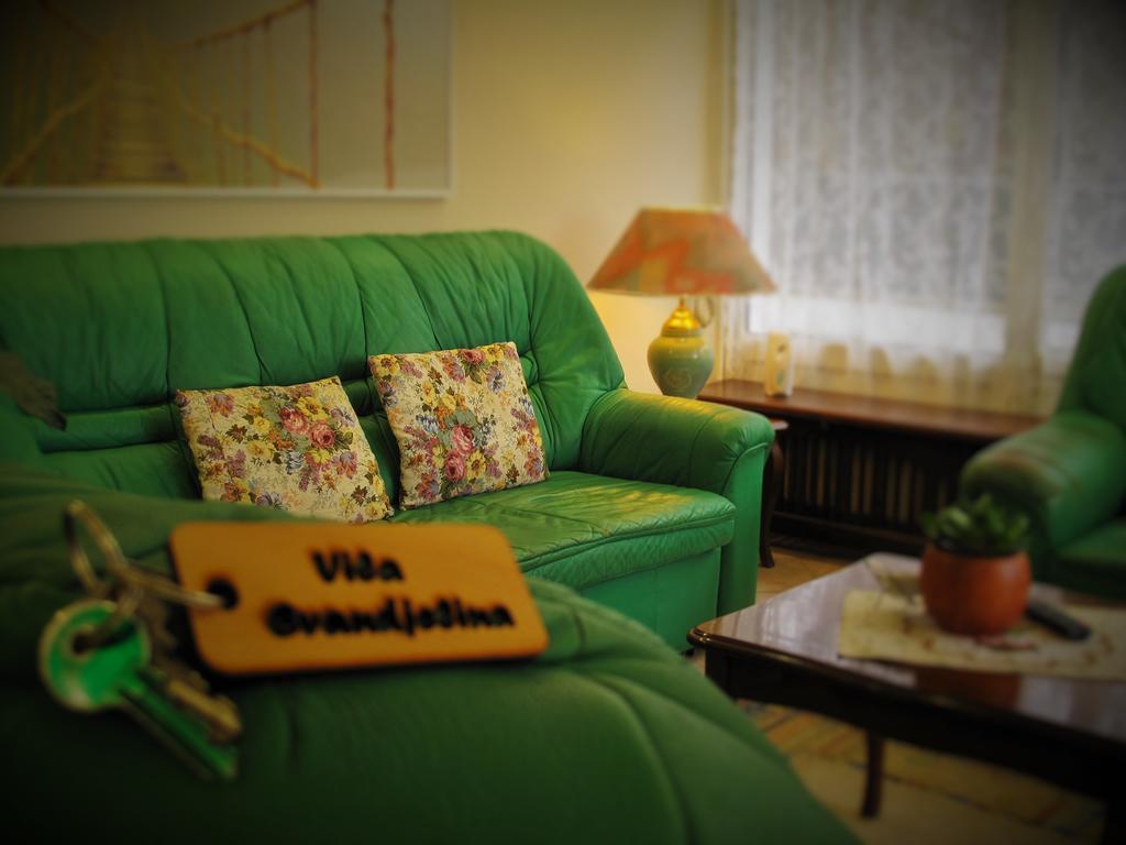 B&B Villa Evandjelina Sremska Kamenica Екстериор снимка