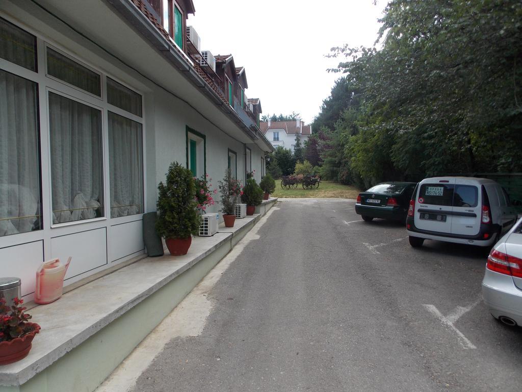 B&B Villa Evandjelina Sremska Kamenica Екстериор снимка