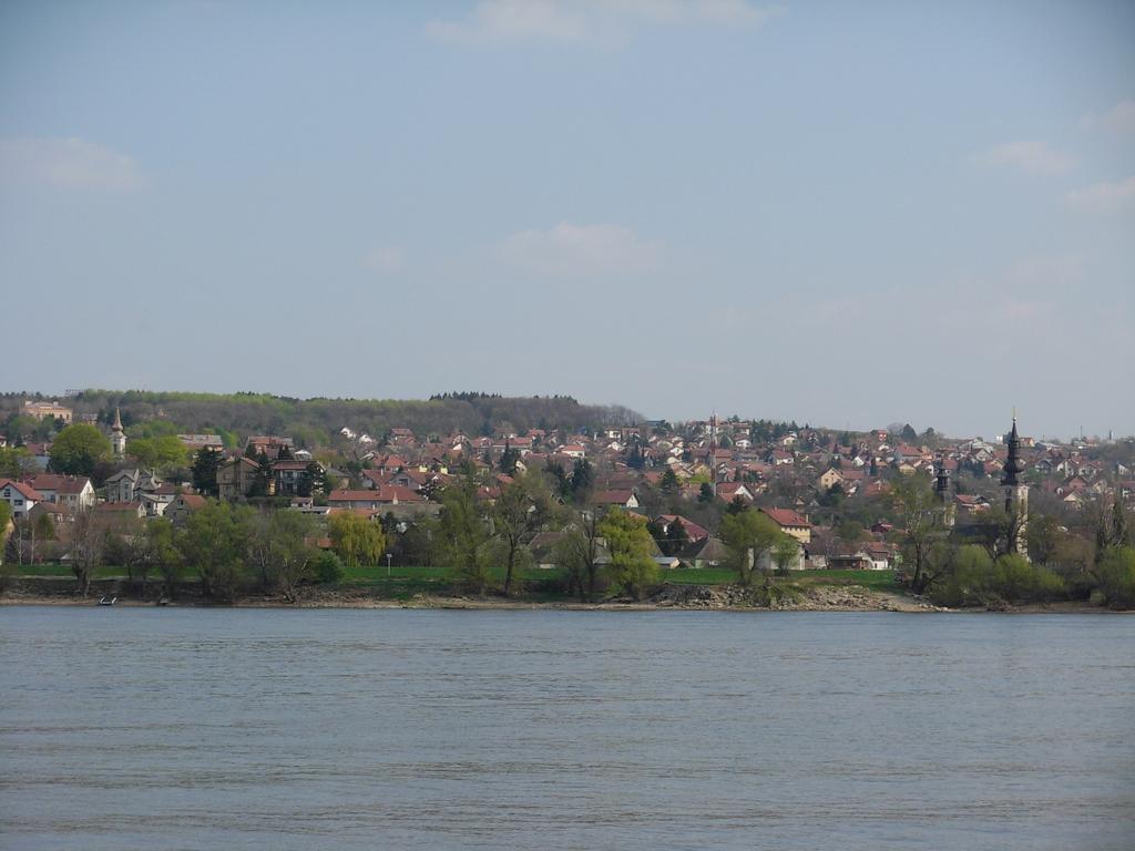 B&B Villa Evandjelina Sremska Kamenica Екстериор снимка