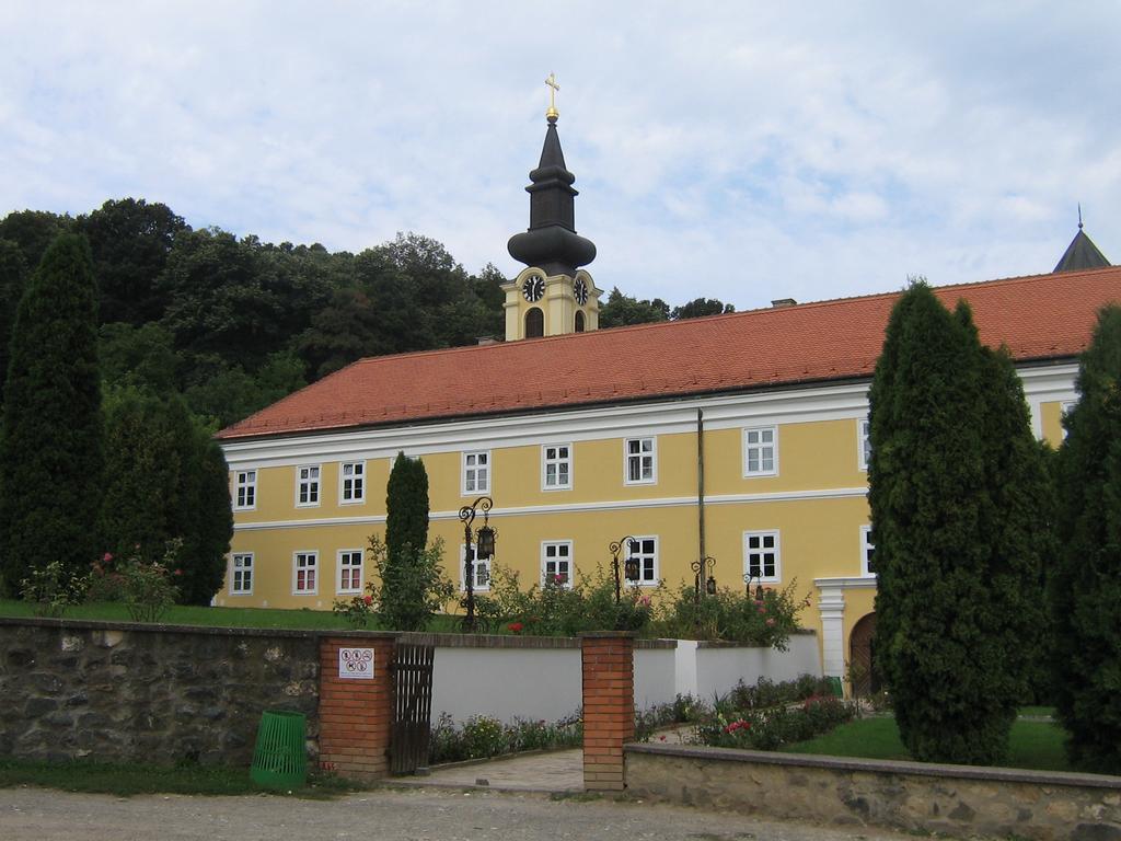 B&B Villa Evandjelina Sremska Kamenica Екстериор снимка