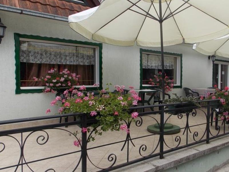 B&B Villa Evandjelina Sremska Kamenica Екстериор снимка