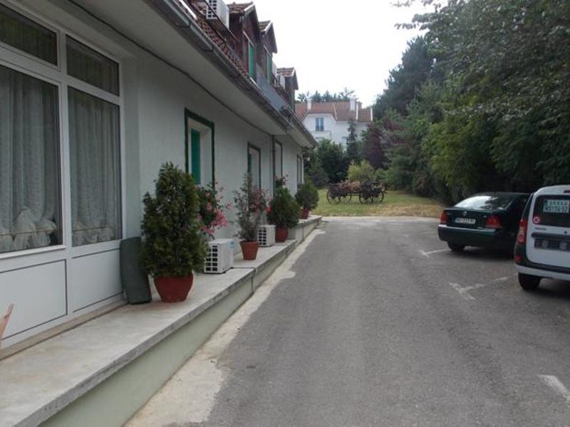 B&B Villa Evandjelina Sremska Kamenica Екстериор снимка
